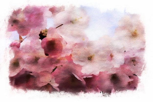 抽象的な水彩ピンクの桜の花のデザインの絵画、桜の水彩イラスト