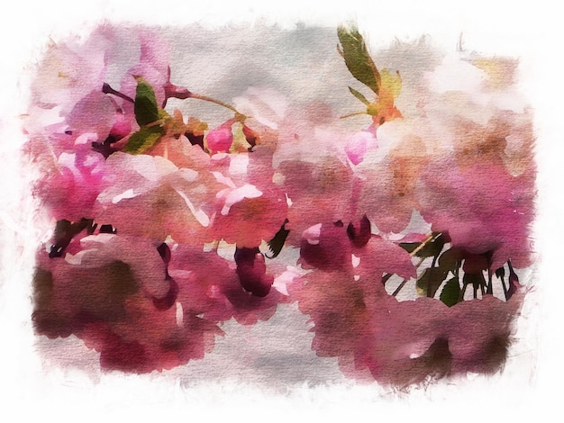 Abstract watercolor pink sakura flower design painting, sakura watercolor illustration