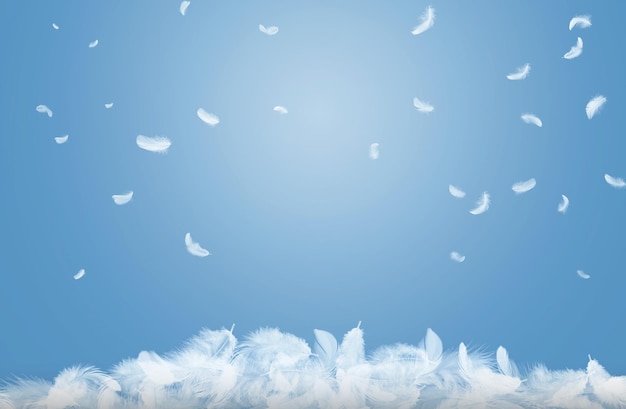 Фото Абстрактные белые птичьи перья, падающие на пол, мягкость плавающих перьев в голубом небе