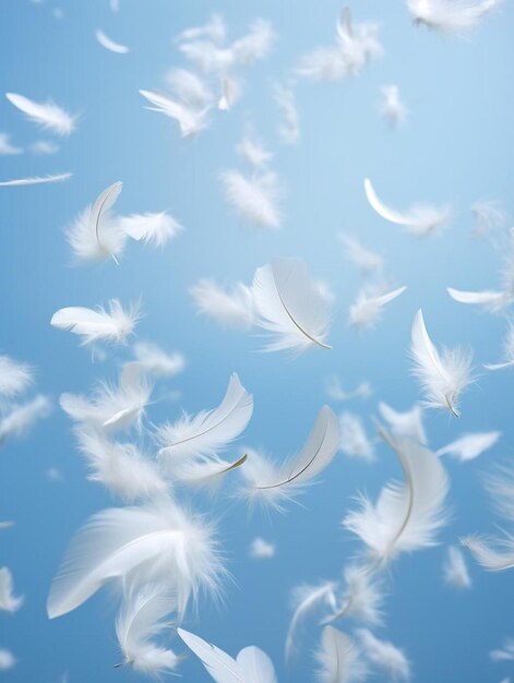 Photo abstract white bird feathers falling in the sky