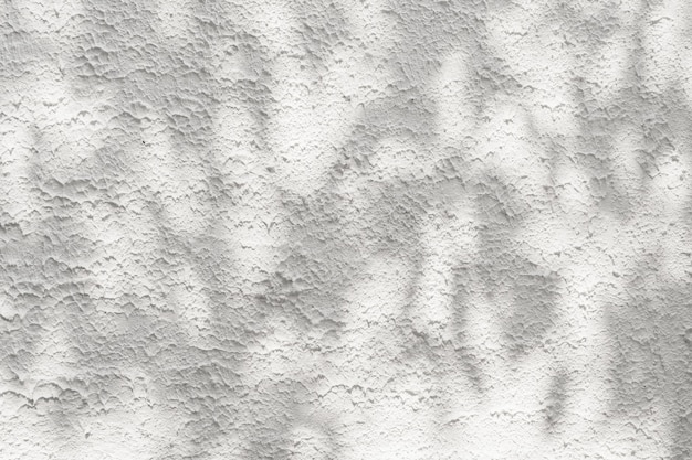 シルエット影付きの抽象的な白いセメント壁のテクスチャxA自然なパターンの抽象的な固定壁アート オーバーレイ効果x背景のデザイン プレゼンテーション シャドウ形状