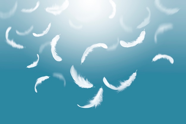 Abstract white feathers falling in the air