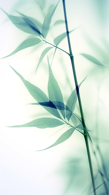 Abstract white green bamboo leaves on soft background