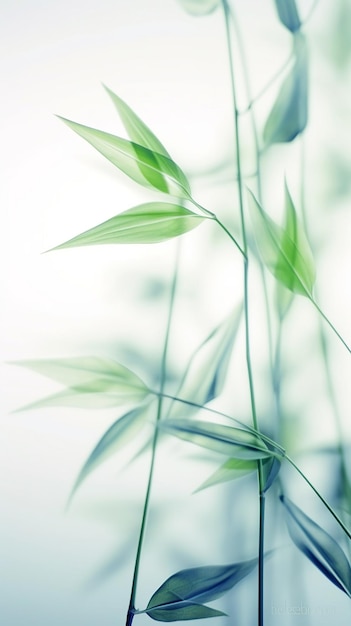 Abstract white green bamboo leaves on soft background