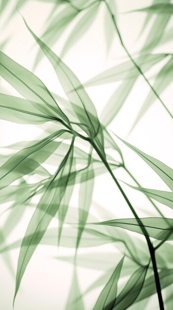 Abstract white green bamboo leaves on soft background