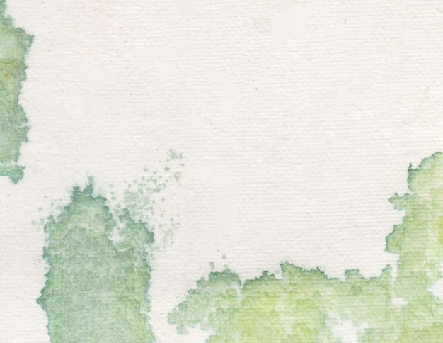 Photo abstract white and green watercolor background