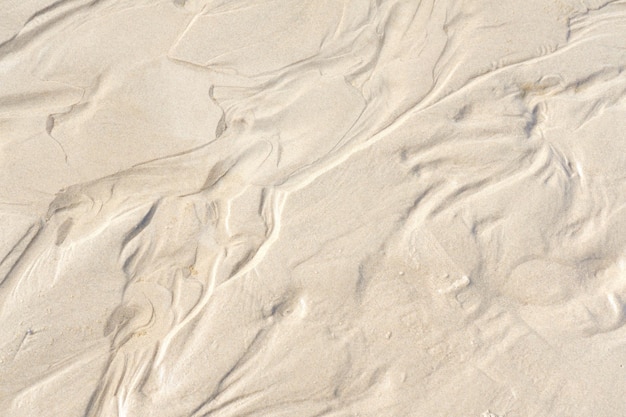 Abstract white sand sediment pattern seaside natural organic landscape shining in the sun Top view of a conceptual textured image of moist sea sand formed at the sea shore on a summer vacation