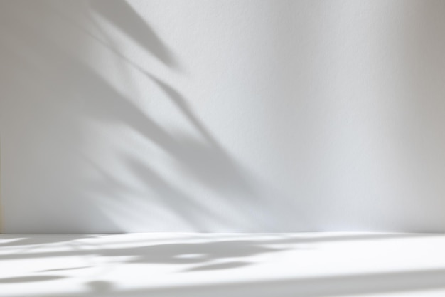 Абстрактный белый фон студии для презентации продукта Пустая комната с тенями окна и цветов и пальмовых листьев 3d комната с копировальным пространством Летний концерт Размытый фон