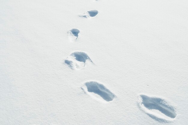 Photo abstract white wallpaper with snow