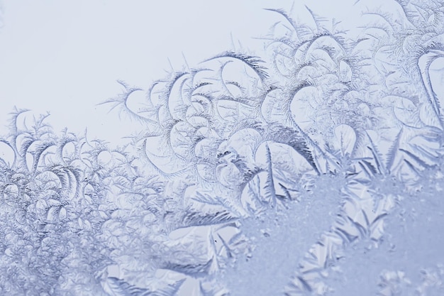 抽象的な冬の背景、霧氷、霜、氷、雪、季節