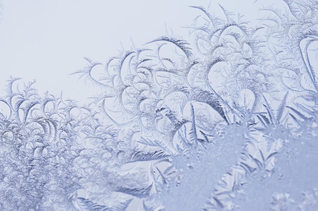 abstract winter background hoarfrost frost ice snow seasonal