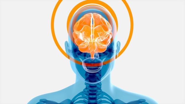 Abstract xray art of the brain and facial recognition