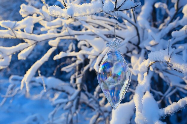 Abstracte achtergrond landschap winter bos / met vorst bedekte takken, besneeuwde weer kerst achtergrond