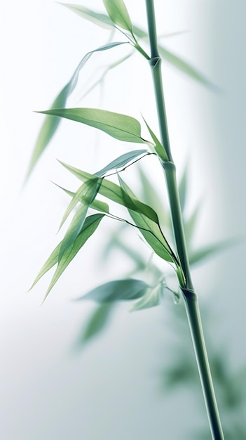 Abstracte bamboe bladeren op een zachte achtergrond