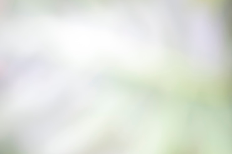 Foto abstracte elegantie natuur grijze achtergrond