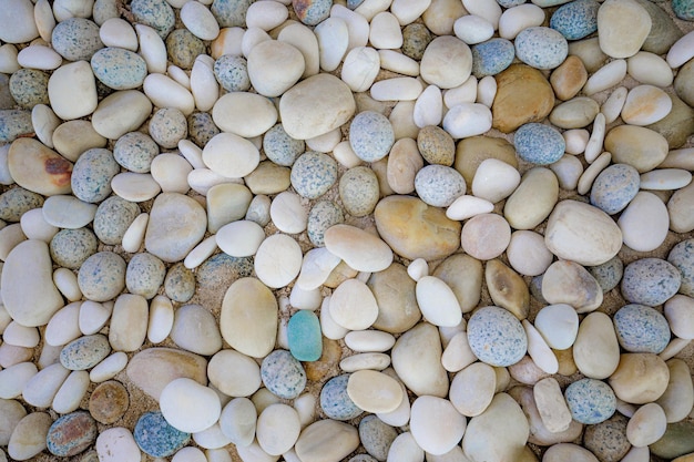 Abstracte gladde ronde kiezels zee textuur achtergrond. Natuurlijke patroon kiezelstenen close-up macro op strand