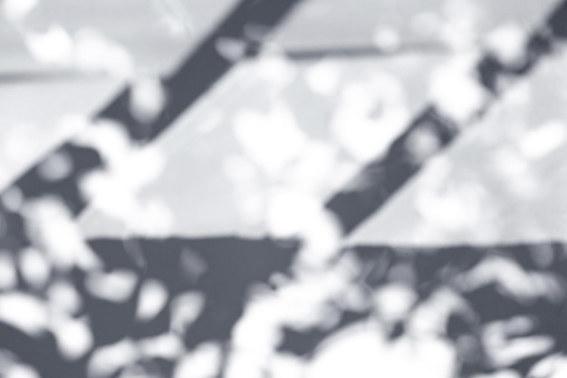 Abstracte grijze schaduwen van plantenbladeren op witte achtergrond Overlay-effect voor foto