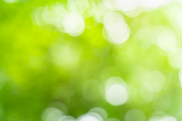 Foto abstracte groen vage achtergrond met mooie bokeh.
