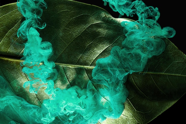 Foto abstracte groene achtergrond met bladeren en verven in water achtergrond voor parfum cosmetische producten