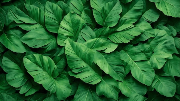 abstracte groene bladtextuur natuur achtergrond tropisch blad