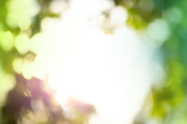 Abstracte groene bokeh achtergrond op zonneschijn achtergrond Verbazingwekkende groene planten wazig groen achtergrond