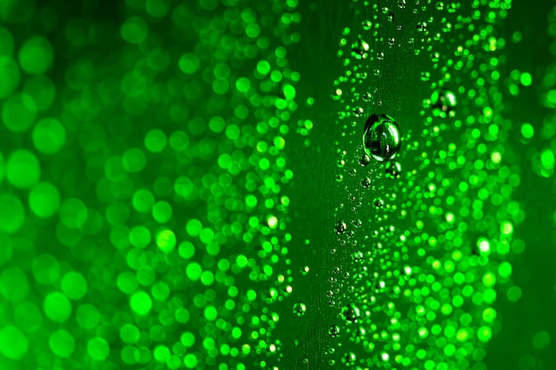 Abstracte groene regendruppelachtergrond met mooie bokeh Vele tinten groen