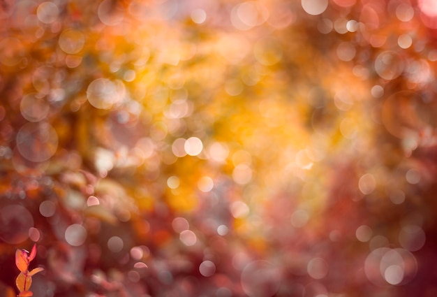 abstracte herfst achtergrond met bokeh