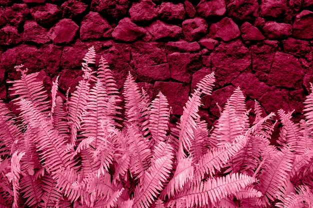 Abstracte magenta kleur getinte struiken op donkere stenen muur natuur achtergrond