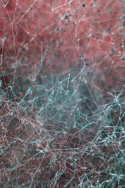 Foto abstracte roodgroene macrofotografie natuurlijke textuur neuraal netwerk schimmel