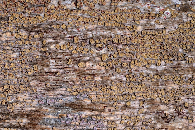 Abstracte textuur van een oude houten muur met afbladderende verf