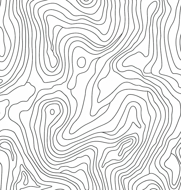 Abstracte topografische contourlijnen zwart-wit vectorillustratie voor achtergrond en ontwerp