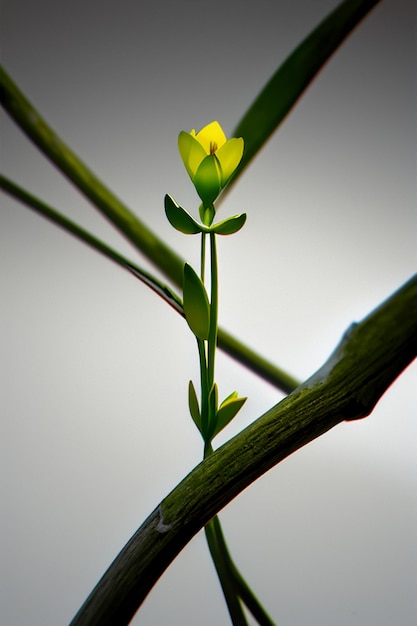 Abstracte vorm ontwerp bloemen takken wijnstokken behang achtergrond illustratie elementen