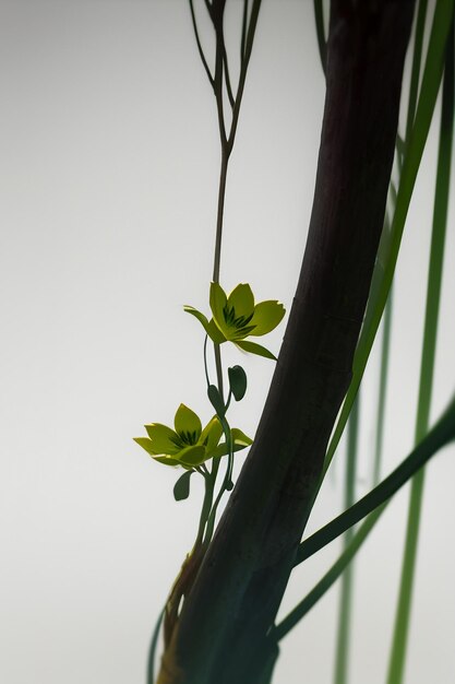 Abstracte vorm ontwerp bloemen takken wijnstokken behang achtergrond illustratie elementen