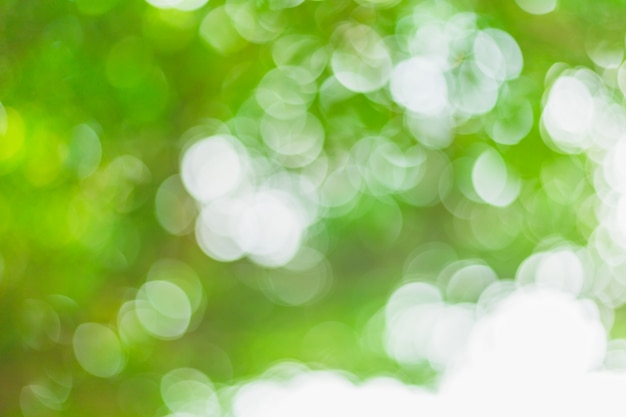 Foto abstracte wazig groene bokeh bladeren achtergrond en textuur