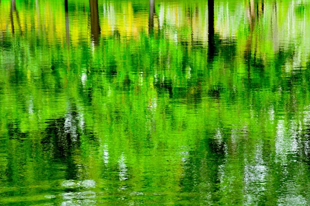 Abstracte weerspiegeling van boom op het water