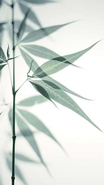 Abstracte witte groene bamboe bladeren op een zachte achtergrond