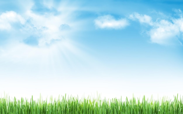 Abstracte zonnige zomer achtergrond met gras en blauwe hemel