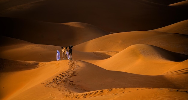 Abu dhabi golden dunes with shadows