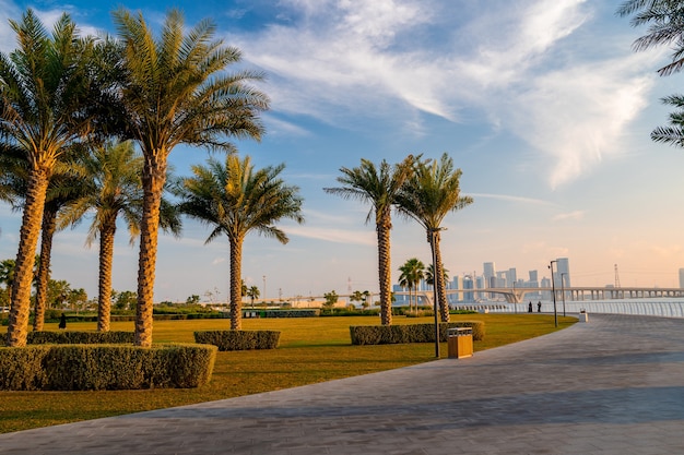 Вид на парк Абу-Даби, ОАЭ. Волшебные улочки Абу-Даби с высокими стеклянными домами над заливом.