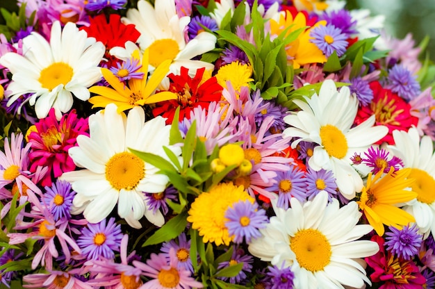 An abundance of diverse beautiful blooming flowers in one summer bouquet.