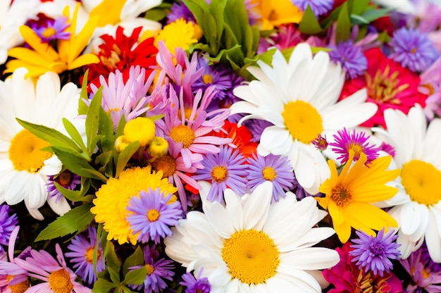 Un'abbondanza di diversi bellissimi fiori che sbocciano in un bouquet estivo.