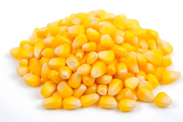 Photo abundance of freshly harvested corn on a clean white background perfect for food and agr