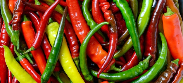 Abundance of red yellow and green hot peppers natural background Banner