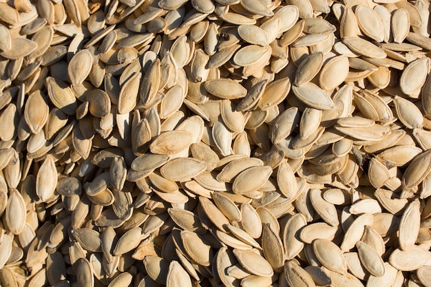 Abundant amount of shelled pumpkin seeds in display