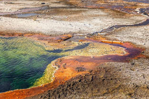 Пруд Бездны в Йеллоустоне ярких цветов, вызванный термофильными бактериями