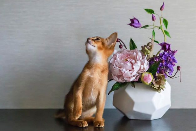 Abyssinian cat with a vase of flowers