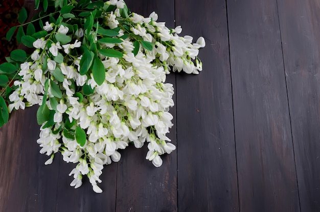 Acacia flowers on a dark wooden background