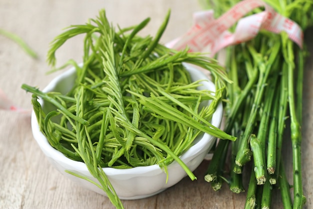 Acacia pennata green vegetable