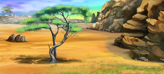 acacia tree in savannah illustration