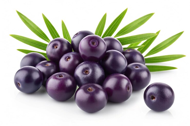 Acai berries antioxidant fruit vector illustration